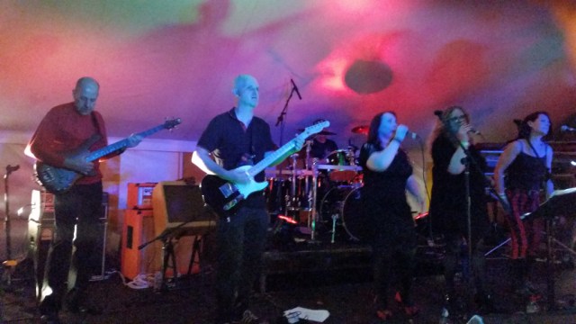 Soul Traders at VW FAB Fest, Strumpshaw, August 2015