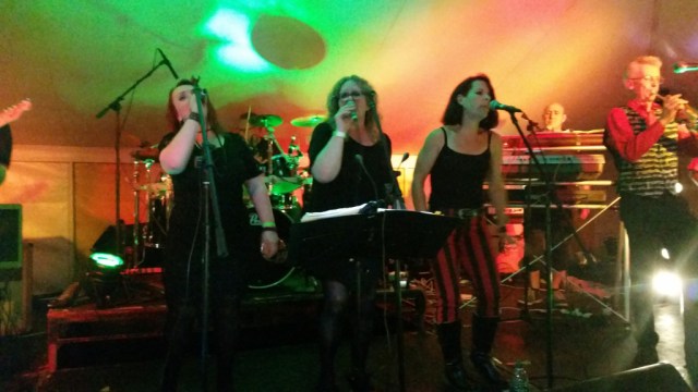 Soul Traders at VW FAB Fest, Strumpshaw, August 2015